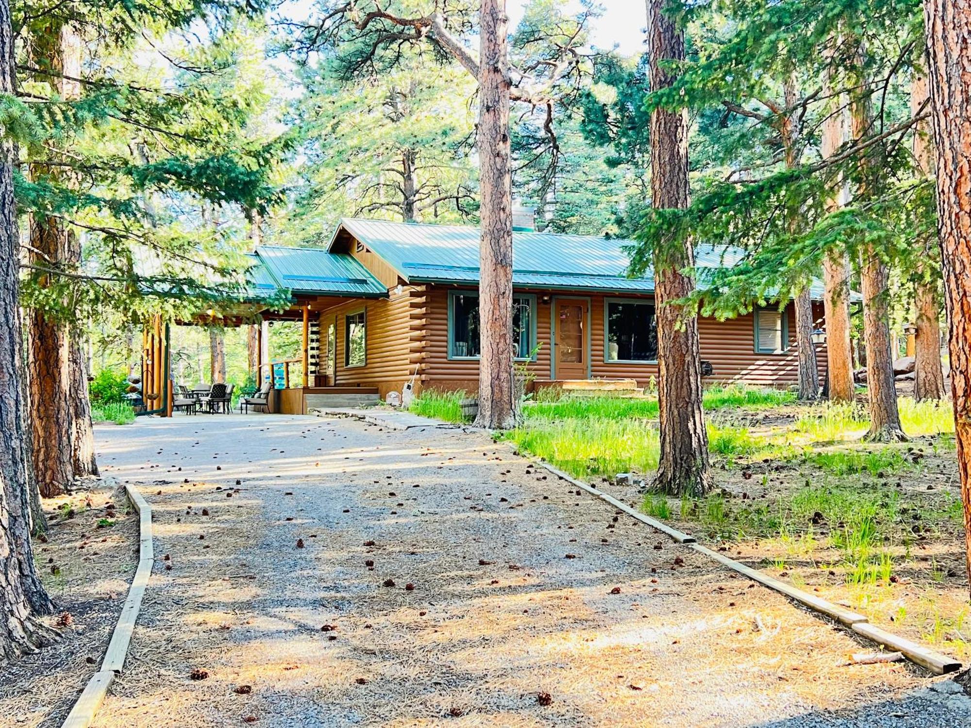 Cozy Cabin On The Creek 科罗拉多市 外观 照片
