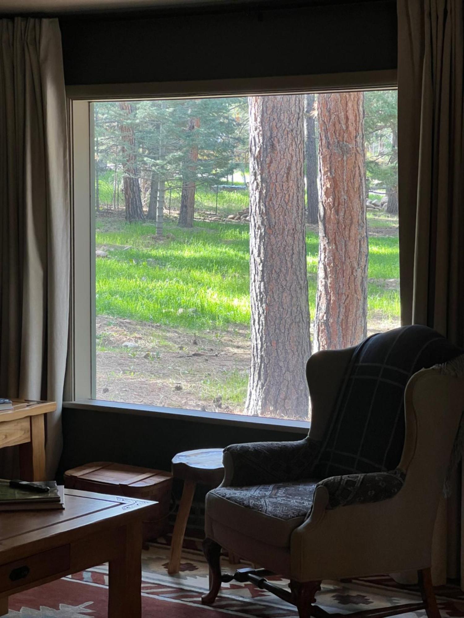 Cozy Cabin On The Creek 科罗拉多市 外观 照片