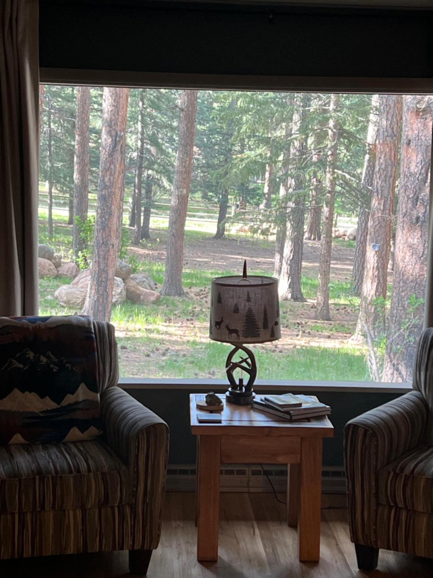 Cozy Cabin On The Creek 科罗拉多市 外观 照片